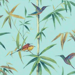 Wallpaper Colibrí y bamboos